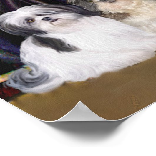 Shih Tzus (zeven) - Klokkenluiders moeder Poster (Hoek)