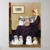 Shih Tzus (zeven) - Klokkenluiders moeder Poster (Voorkant)