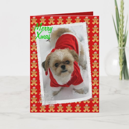 shih van tzu leuke santa van tzulhasa de feestdagen kaart (Voorkant)