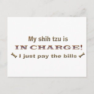 shihtzu briefkaart