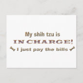 shihtzu briefkaart (Voorkant)