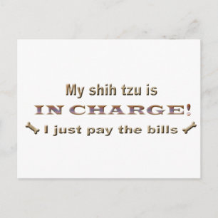 shihtzu briefkaart