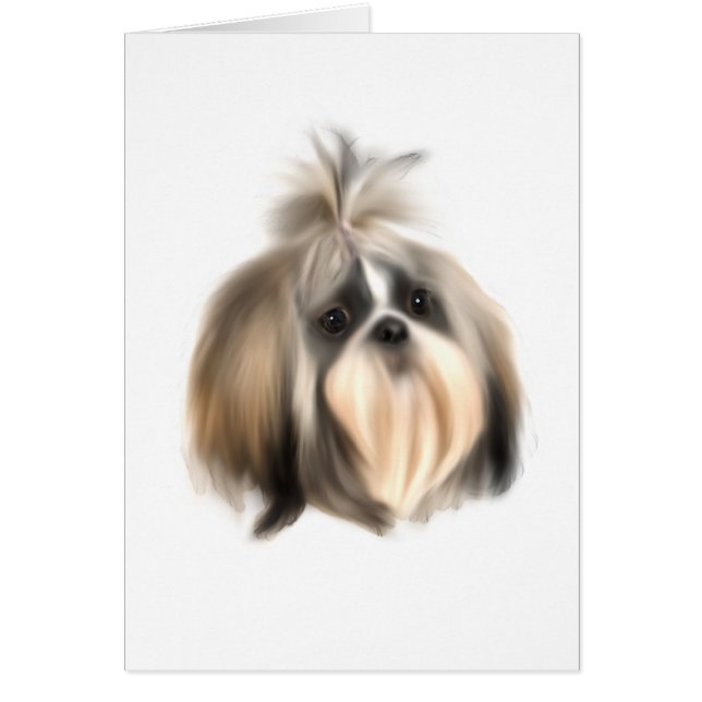 ShihTzu Dog (Voorkant)