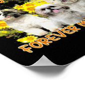 Shihtzu Dog First My Moeder for ever My Friend Poster (Hoek)