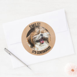 Shihtzu lachen glimlach het is besmettelijke aange ronde sticker