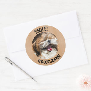 Shihtzu lachen glimlach het is besmettelijke aange ronde sticker
