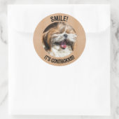 Shihtzu lachen glimlach het is besmettelijke aange ronde sticker (Tas)