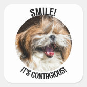 Shihtzu lachen glimlach het is besmettelijke aange vierkante sticker (Voorkant)