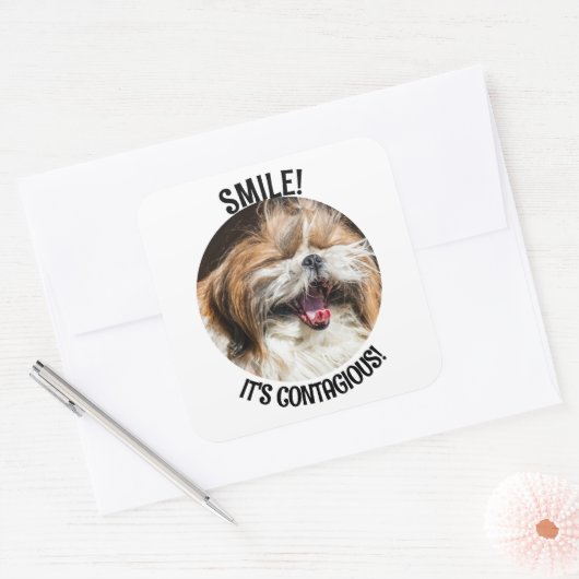 Shihtzu lachen glimlach het is besmettelijke aange vierkante sticker (Envelop)