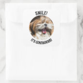 Shihtzu lachen glimlach het is besmettelijke aange vierkante sticker (Tas)