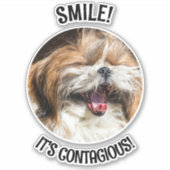 Shihtzu lachende glimlach het is besmettelijk aang sticker (Voorkant)
