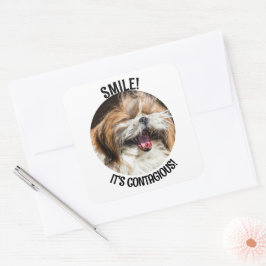 Shihtzu lachende glimlach het is besmettelijk aang vierkante sticker