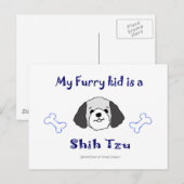 ShihTzuGreyWhite Briefkaart (Voorkant / Achterkant)