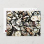 Shiitake paddenstoelen briefkaart (Voorkant / Achterkant)