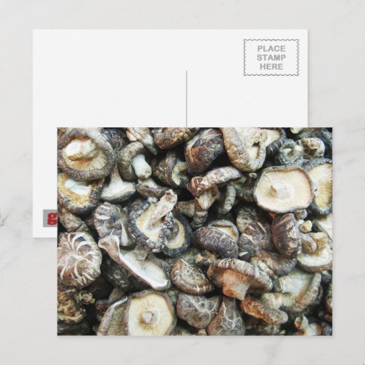 Shiitake paddenstoelen briefkaart (Voorkant / Achterkant)