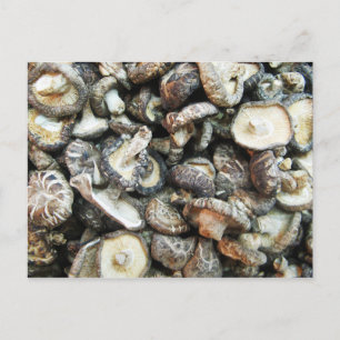 Shiitake paddenstoelen briefkaart
