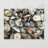Shiitake paddenstoelen briefkaart (Voorkant)