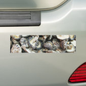 Shiitake-paddenstoelen Bumpersticker (Op auto)