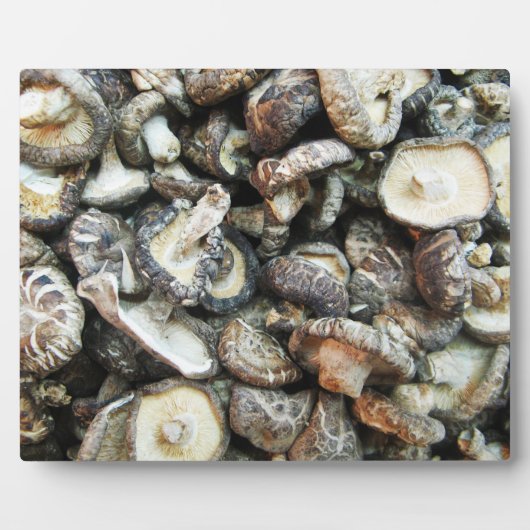 Shiitake paddenstoelen fotoplaat (Voorkant)