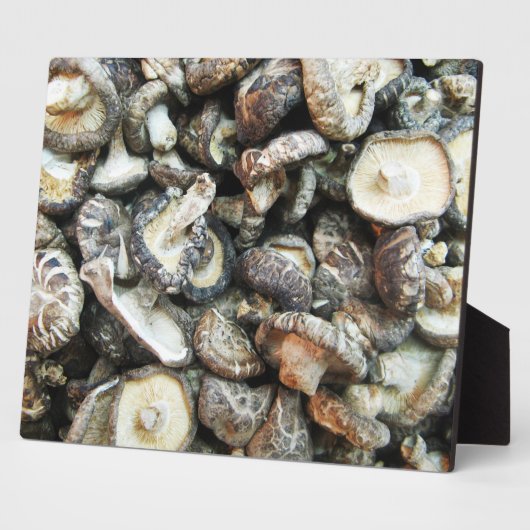 Shiitake paddenstoelen fotoplaat (Zijkant)