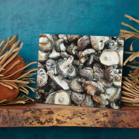 Shiitake paddenstoelen fotoplaat (Zijkant)