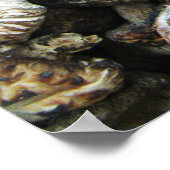 Shiitake paddenstoelen poster (Hoek)