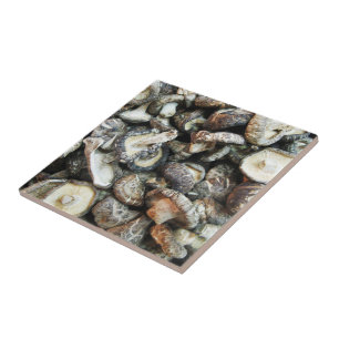 Shiitake paddenstoelen tegeltje