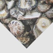 Shiitake paddenstoelen tissuepapier (Detail)