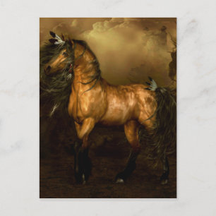 Shikoba Native American Horse Briefkaart