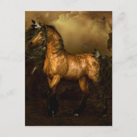 Shikoba Native American Horse Briefkaart (Voorkant)