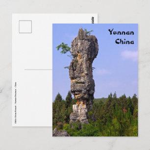Shilin-pinnacles Steenwoud - Yunnan,China,Azië Briefkaart