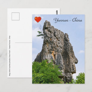 Shilin-pinnacles Steenwoud - Yunnan,China,Azië Briefkaart