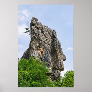Shilin-pinnacles Steenwoud - Yunnan,China,Azië Poster