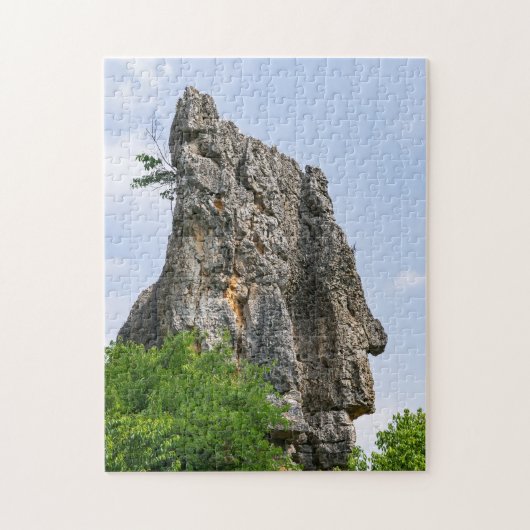 Shilin pinnacles Stone forest - Yunnan, China, Azi Legpuzzel (Verticaal)