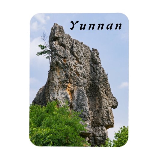 Shilin pinnacles Stone forest - Yunnan, China, Azi Magneet (Verticaal)