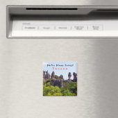 Shilin pinnacles Stone forest - Yunnan, China, Azi Magneet (Insitu (Vaatwasser))