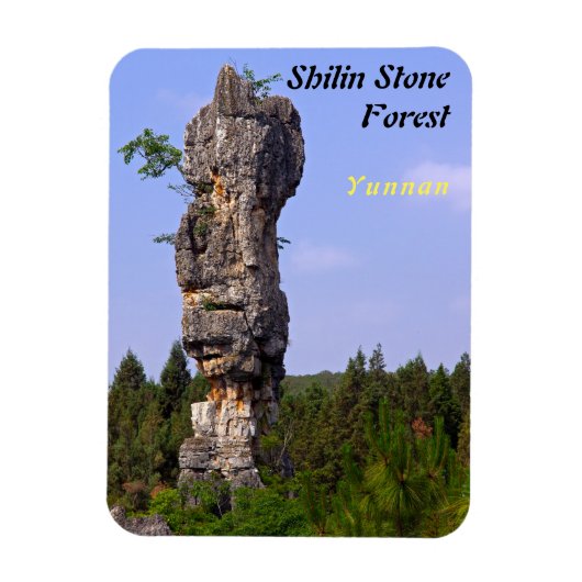 Shilin pinnacles Stone forest - Yunnan, China, Azi Magneet (Verticaal)