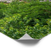 Shilin pinnacles Stone forest - Yunnan, China, Azi Poster (Hoek)