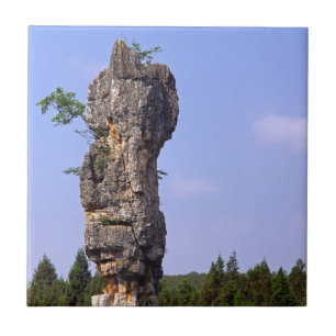 Shilin pinnacles Stone forest - Yunnan, China, Azi Tegeltje