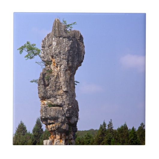 Shilin pinnacles Stone forest - Yunnan, China, Azi Tegeltje (Voorkant)