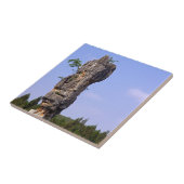 Shilin pinnacles Stone forest - Yunnan, China, Azi Tegeltje (Zijkant)