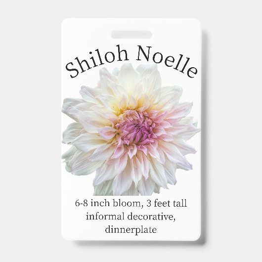 Shiloh Noelle Dahlia ID-badge Badge (Voorzijde)