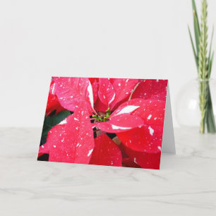 Shimmer Star Surprise Poinsettia Holiday Floral Feestdagen Kaart