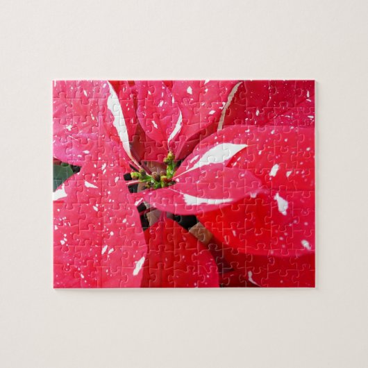 Shimmer Star Surprise Poinsettia Holiday Floral Legpuzzel (Horizontaal)