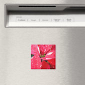Shimmer Star Surprise Poinsettia Holiday Floral Magneet (Insitu (Vaatwasser))