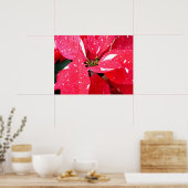Shimmer Star Surprise Poinsettia Holiday Floral Poster (Keuken)