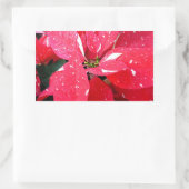 Shimmer Star Surprise Poinsettia Holiday Floral Rechthoekige Sticker (Tas)