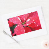 Shimmer Star Surprise Poinsettia Holiday Floral Rechthoekige Sticker (Envelop)