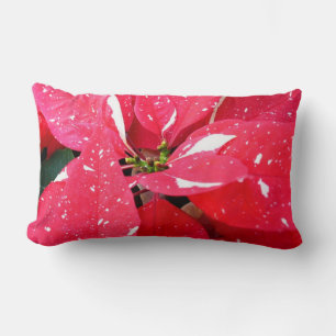Shimmer Star Surprise Poinsettia Kerst Floral Kussen