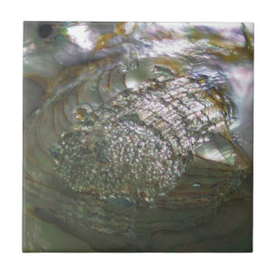 Shimmering Abalone Seashell, prachtige Natuur Tegeltje